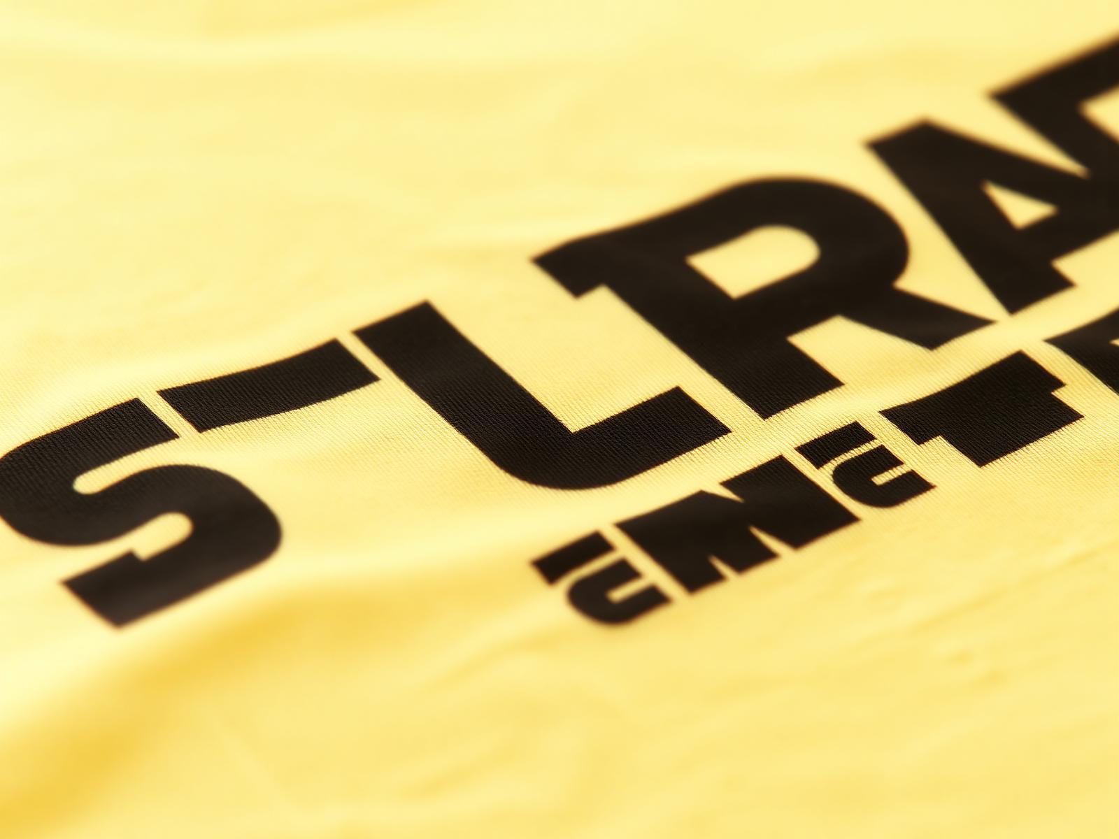 Close-up of a crisp vector print on heavyweight cotton apparel